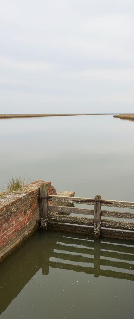 Weathered red brick wall and shell crusted timber rails across still lagoon water, low reed bank beyond